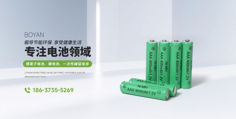 Ni-MH 2/3AAA100 1.2V 产品说明